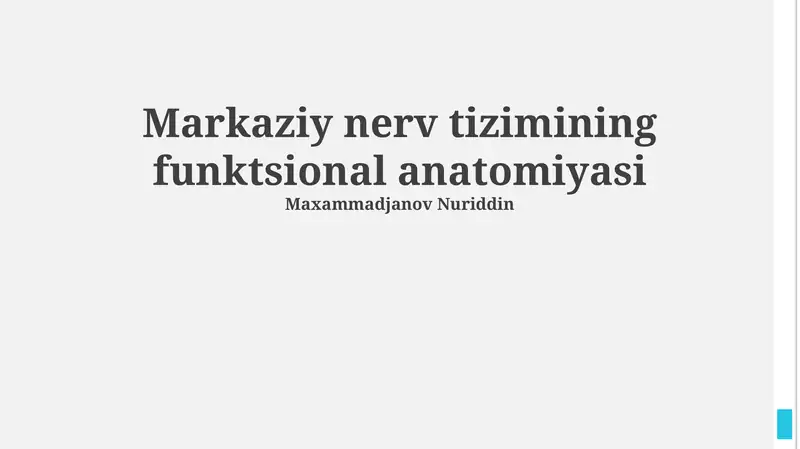 Markaziy nerv tizimining funktsional anatomiyasi
