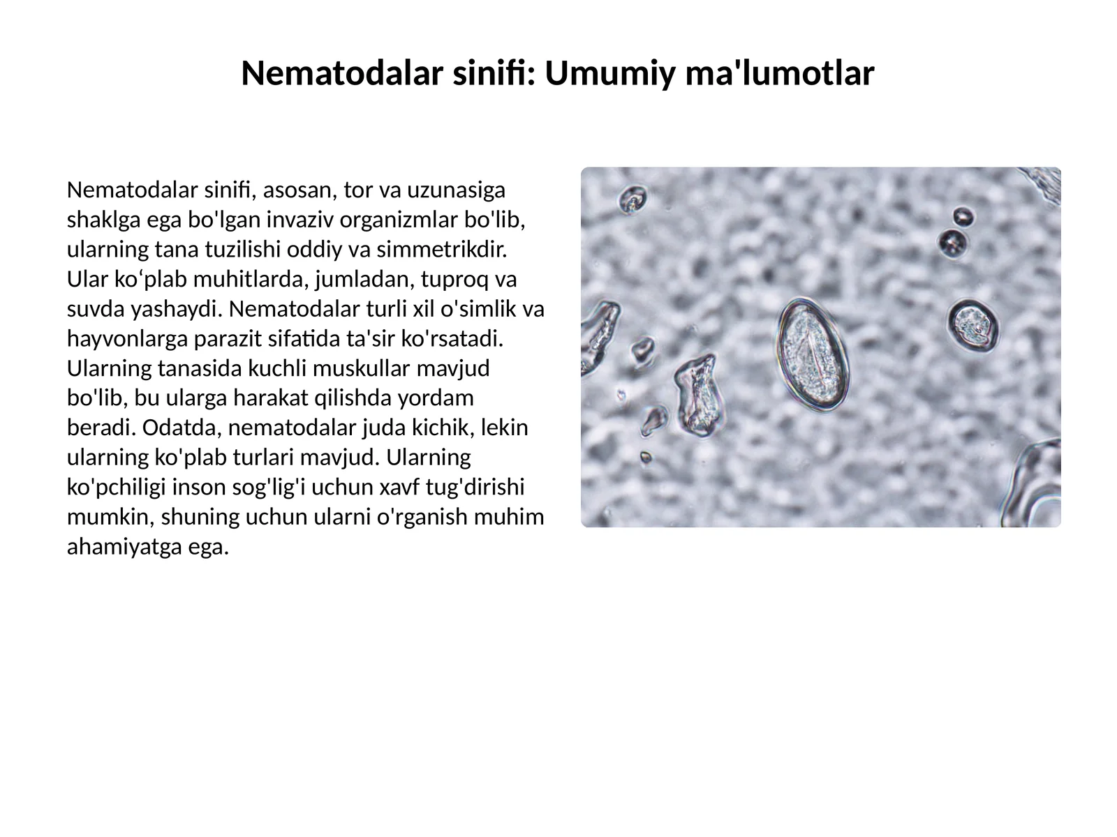 Nematodalar sinifi: Umumiy ma'lumotlar