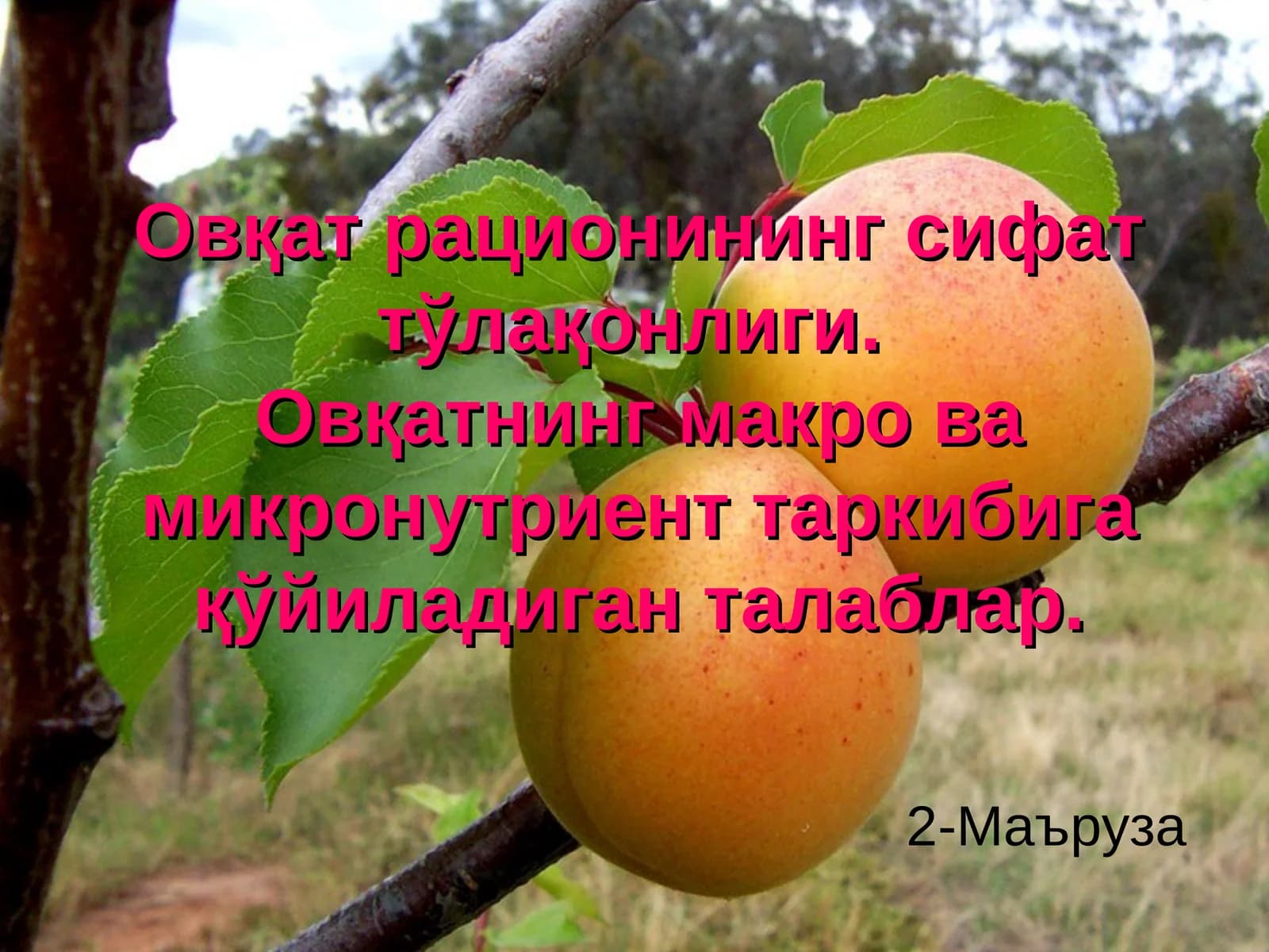 Овқат рационининг сифат тўлақонлиги