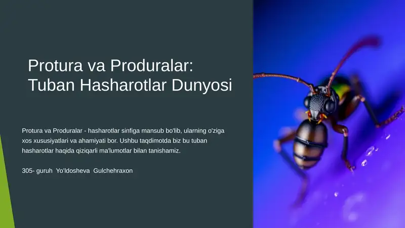 Protura va Produralar