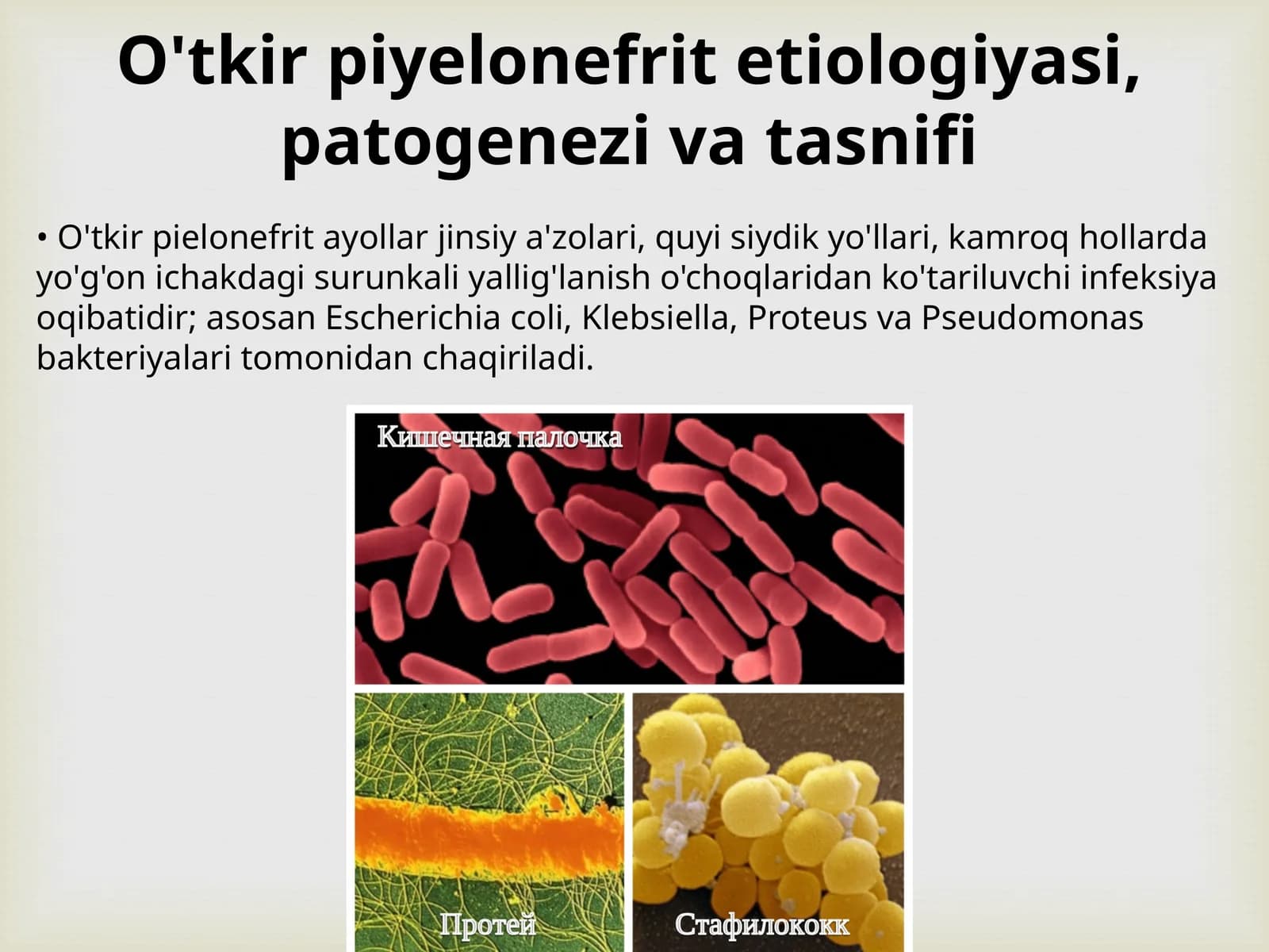 O'tkir piyelonefrit etiologiyasi, patogenezi va tasnifi