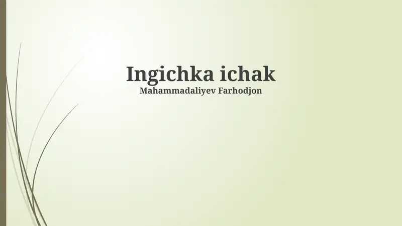 Ingichka ichak