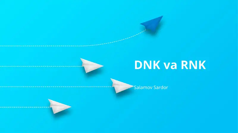 DNK va RNK
