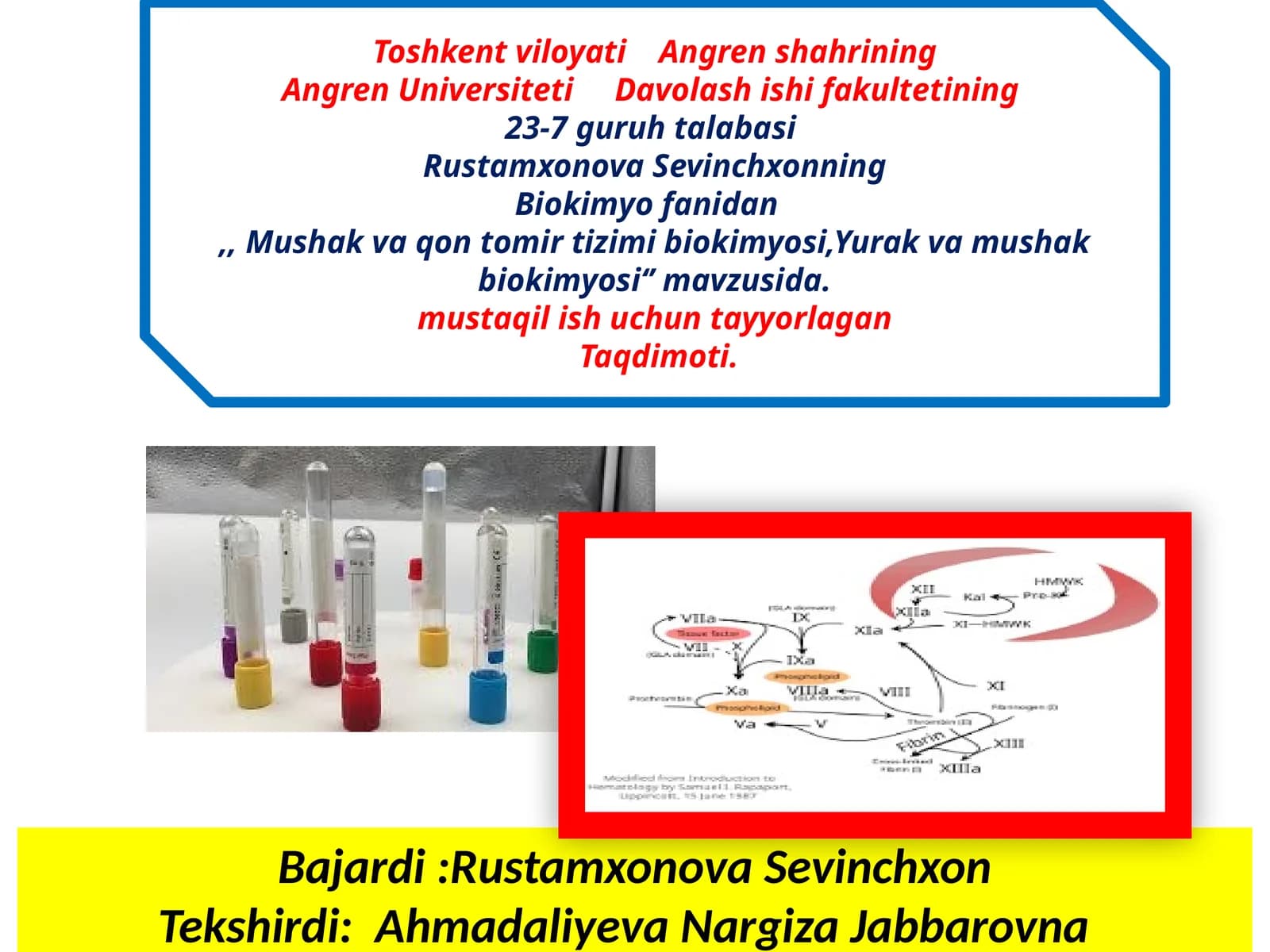Mushak, qontomirtizimi va yurak biokimyosi