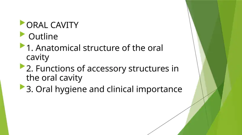Anatomical structure of the oral cavity