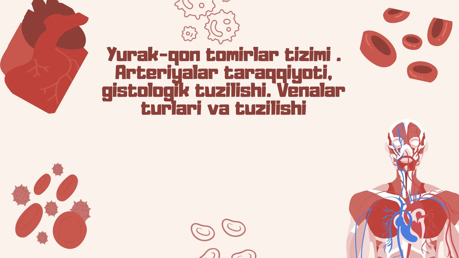 Qon tomirlar tuzilishi