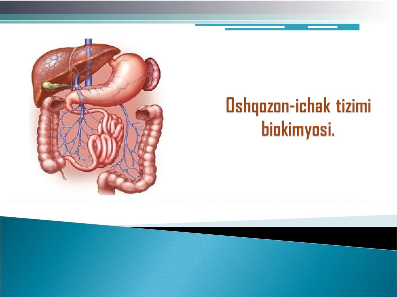 Oshqozon-ichak tizimi biokimyosi