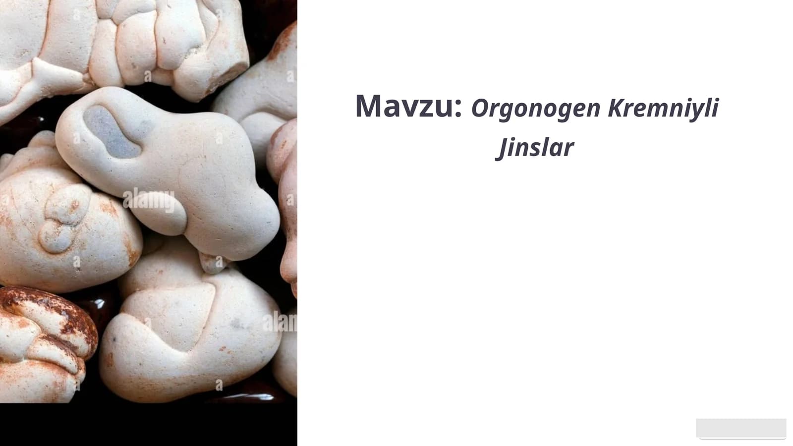 Orgonogen Kremniyli Jinslar