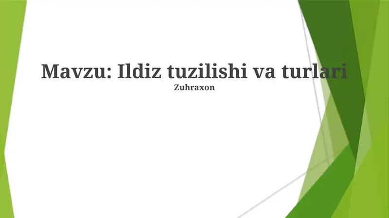 Ildiz Tuzilishi va Turlari