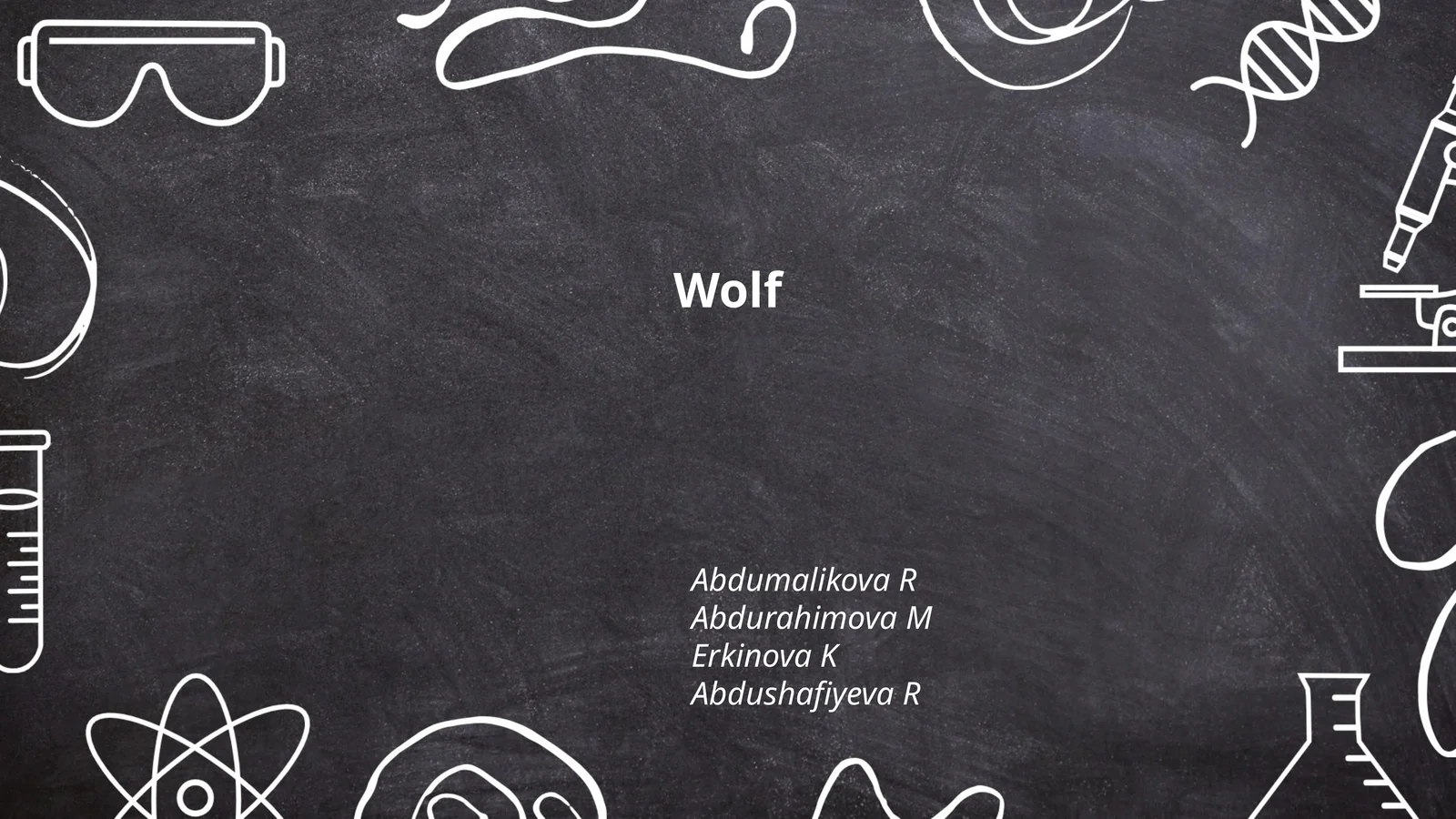 Wolf Behavior