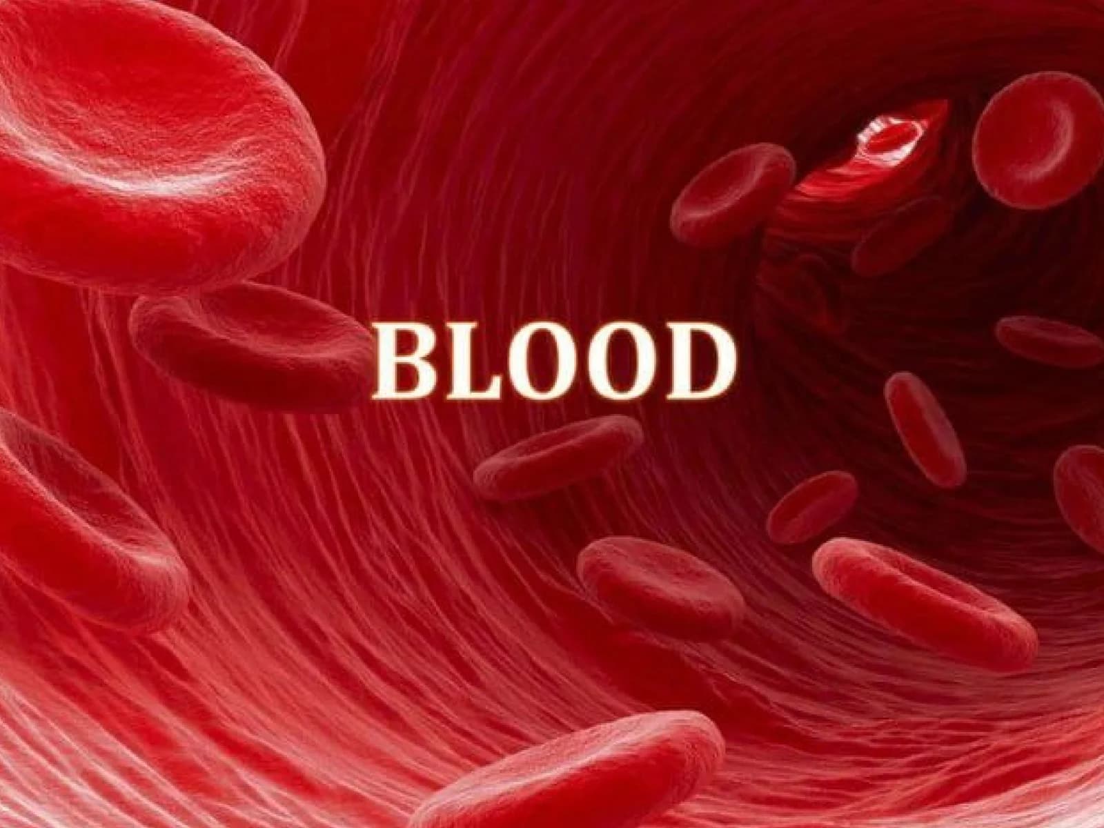 Blood