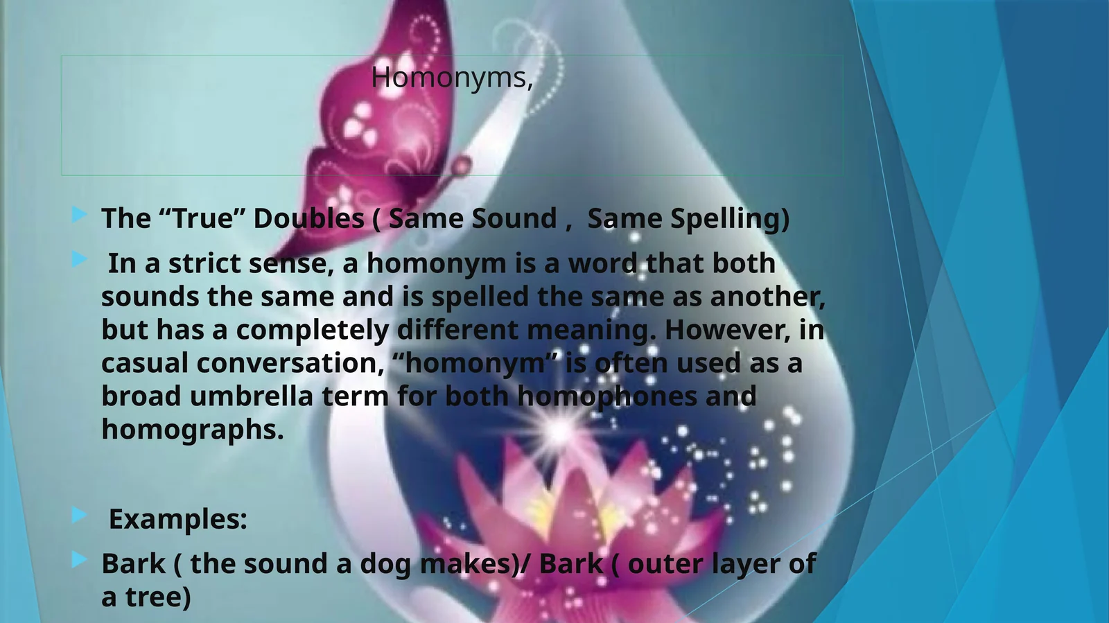 Homonyms