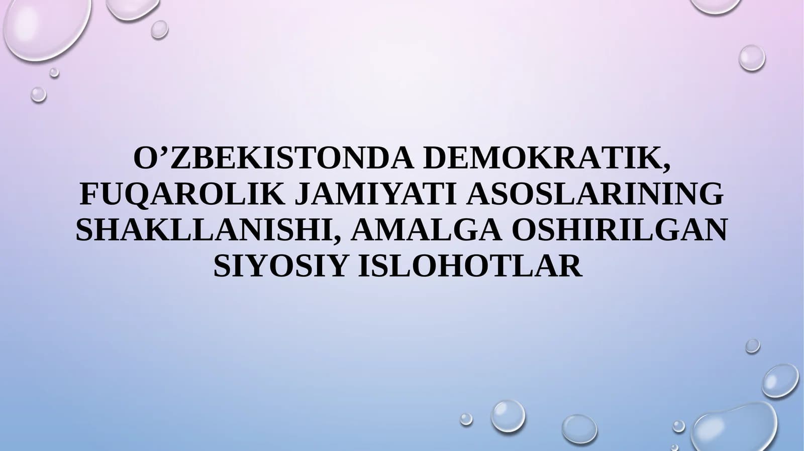 O'zbekistonda Demokratik, Fuqarolik Jamiyatia Soslarining Shakllanishi, Amalga Oshirilgan Siyosiy Ishlar