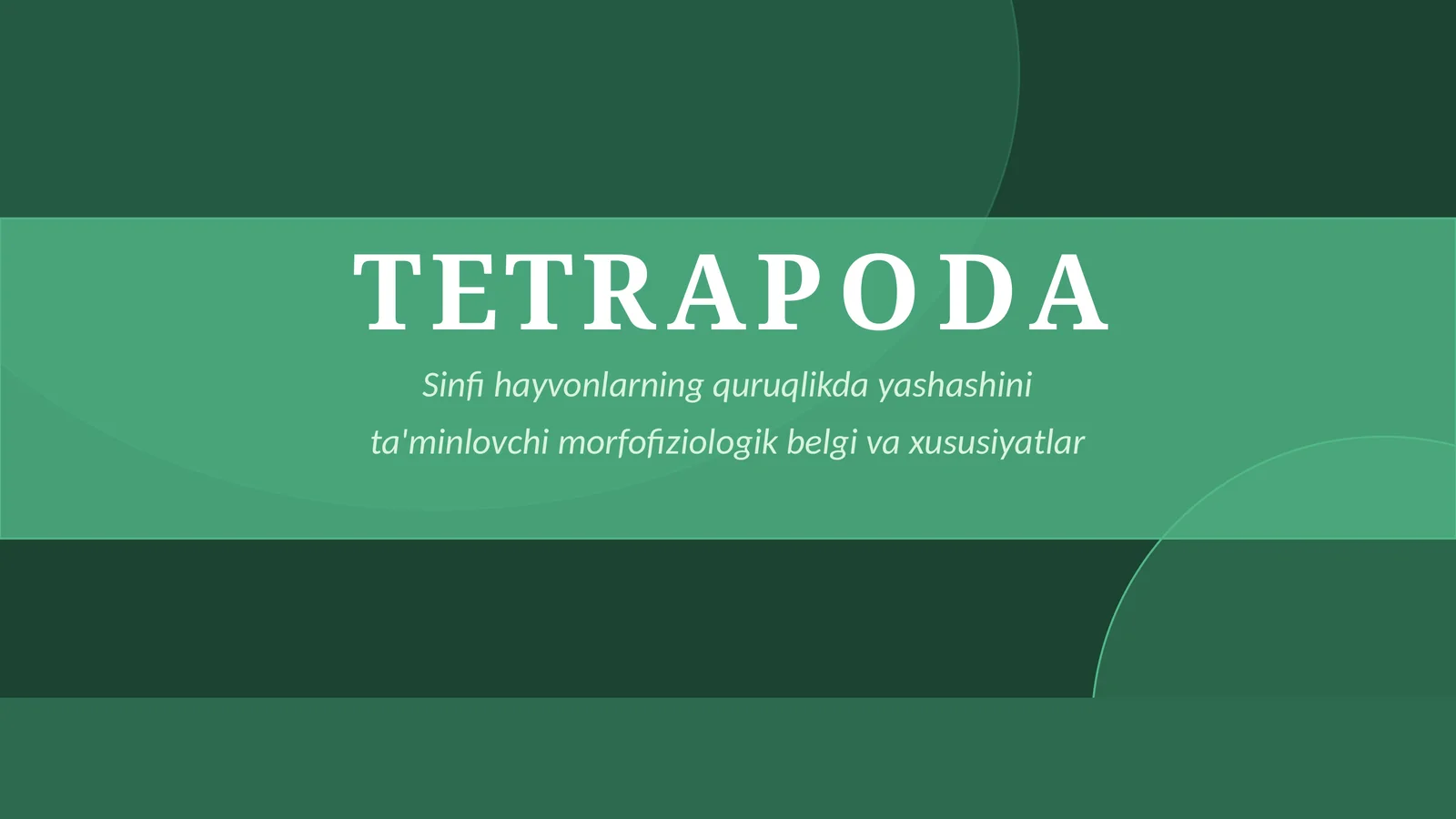 TETRAPODA