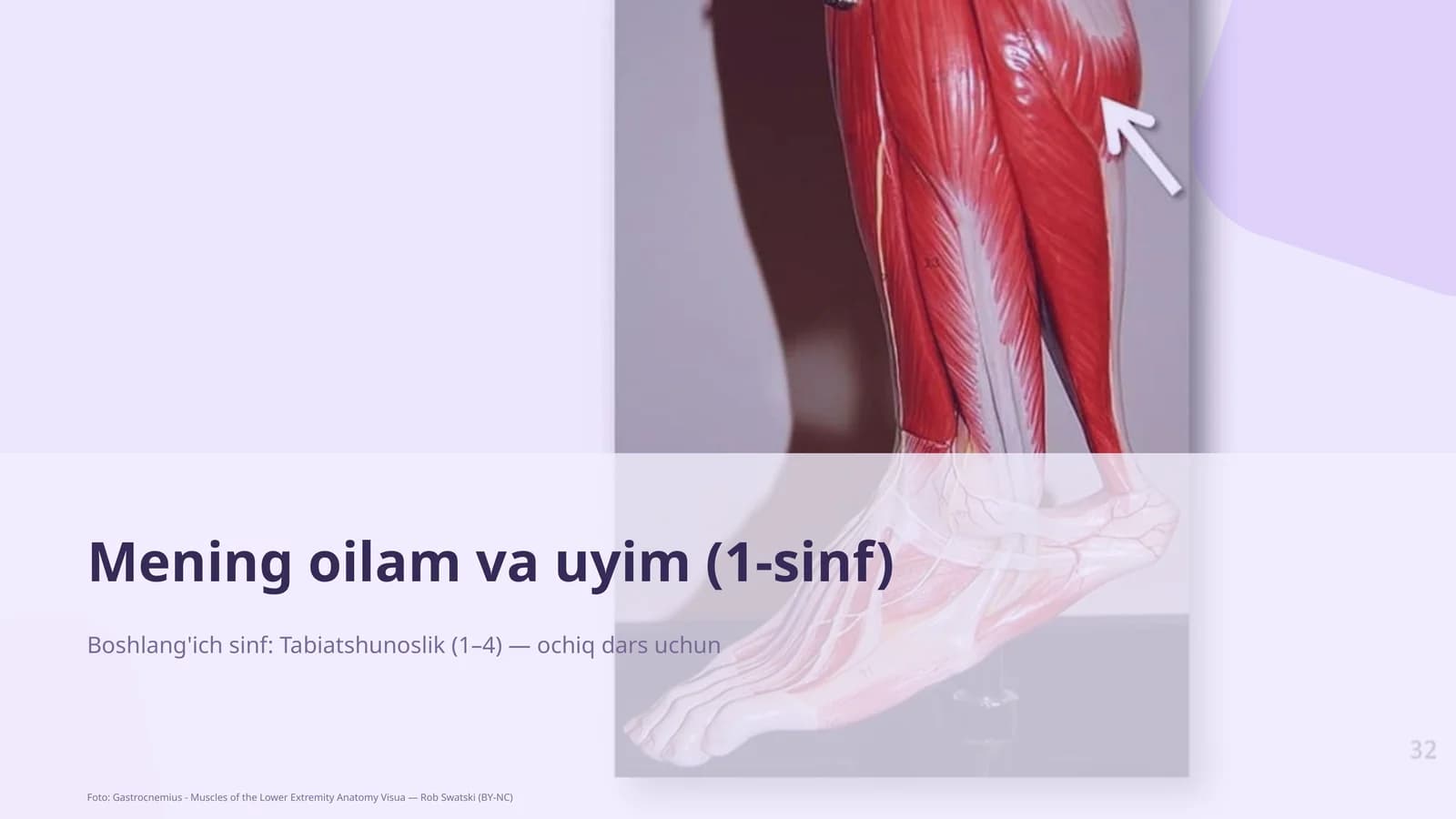 Mening oilam va uyim (1-sinf)