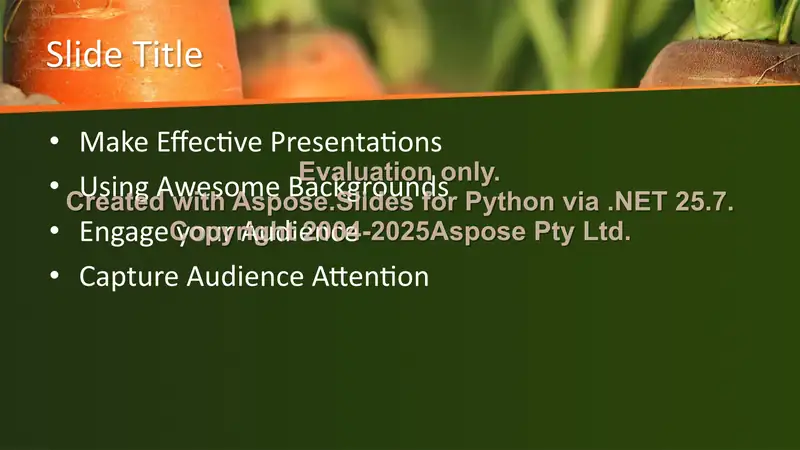 Product slide 2
