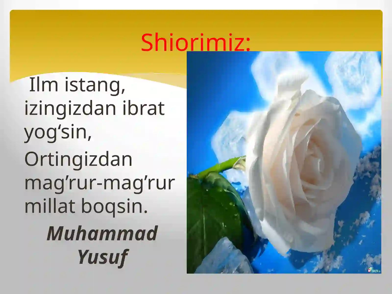 Product slide 2