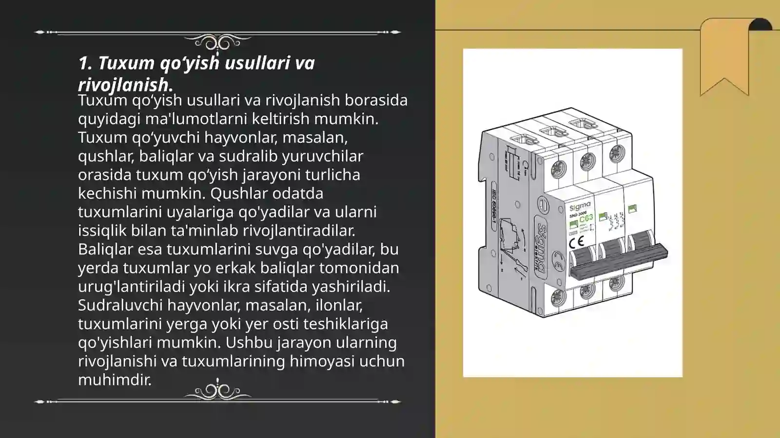 Product slide 3