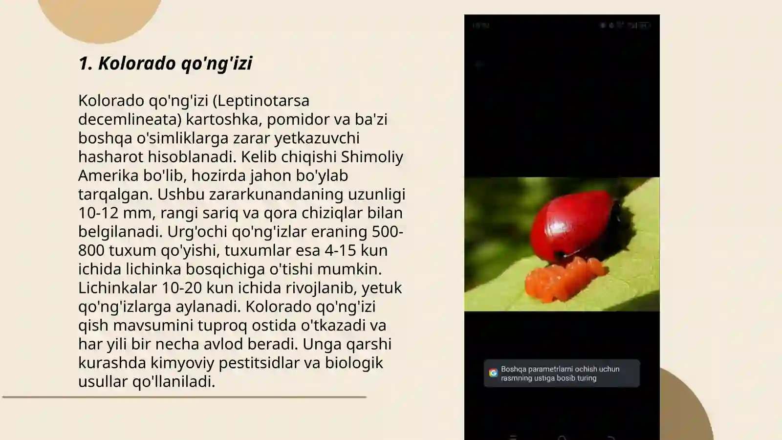 Product slide 3