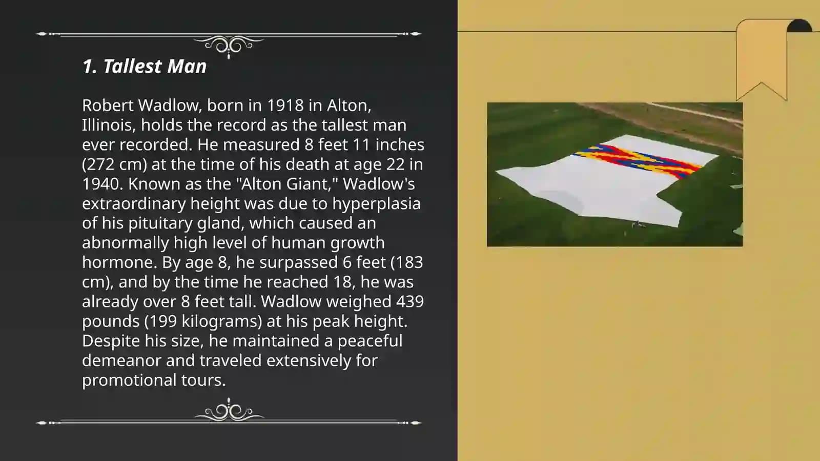 Guinness world records