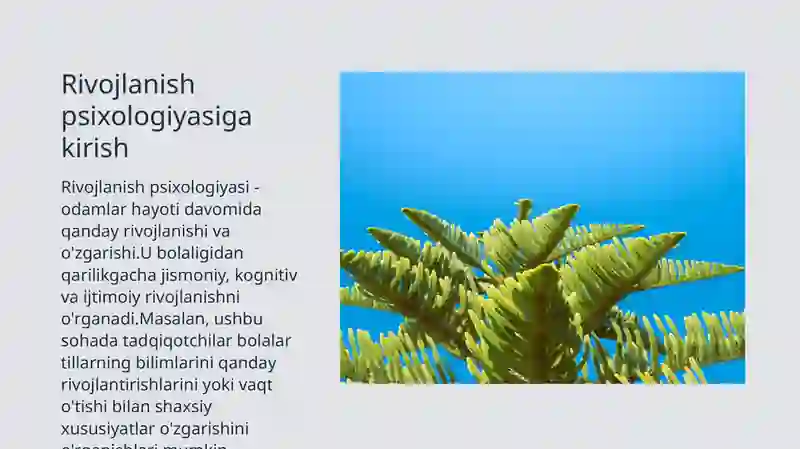 Product slide 3