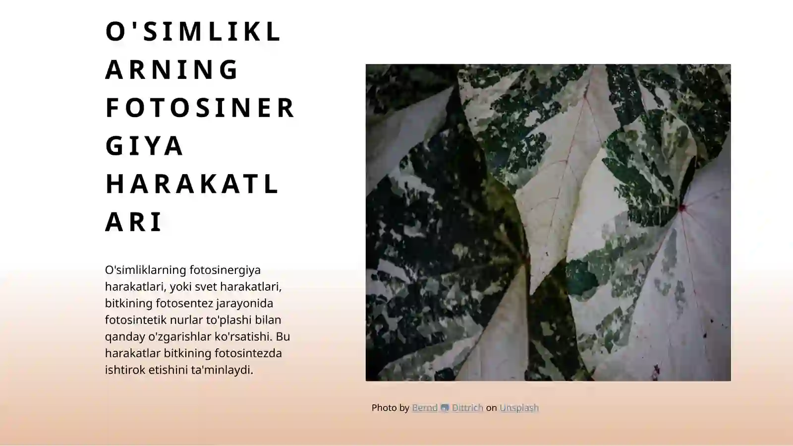 Product slide 4