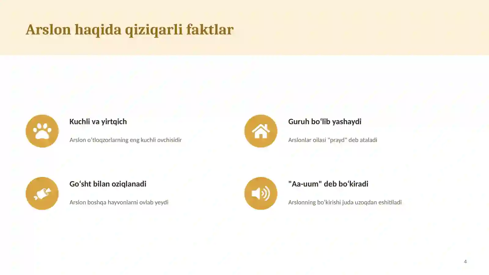 Product slide 4