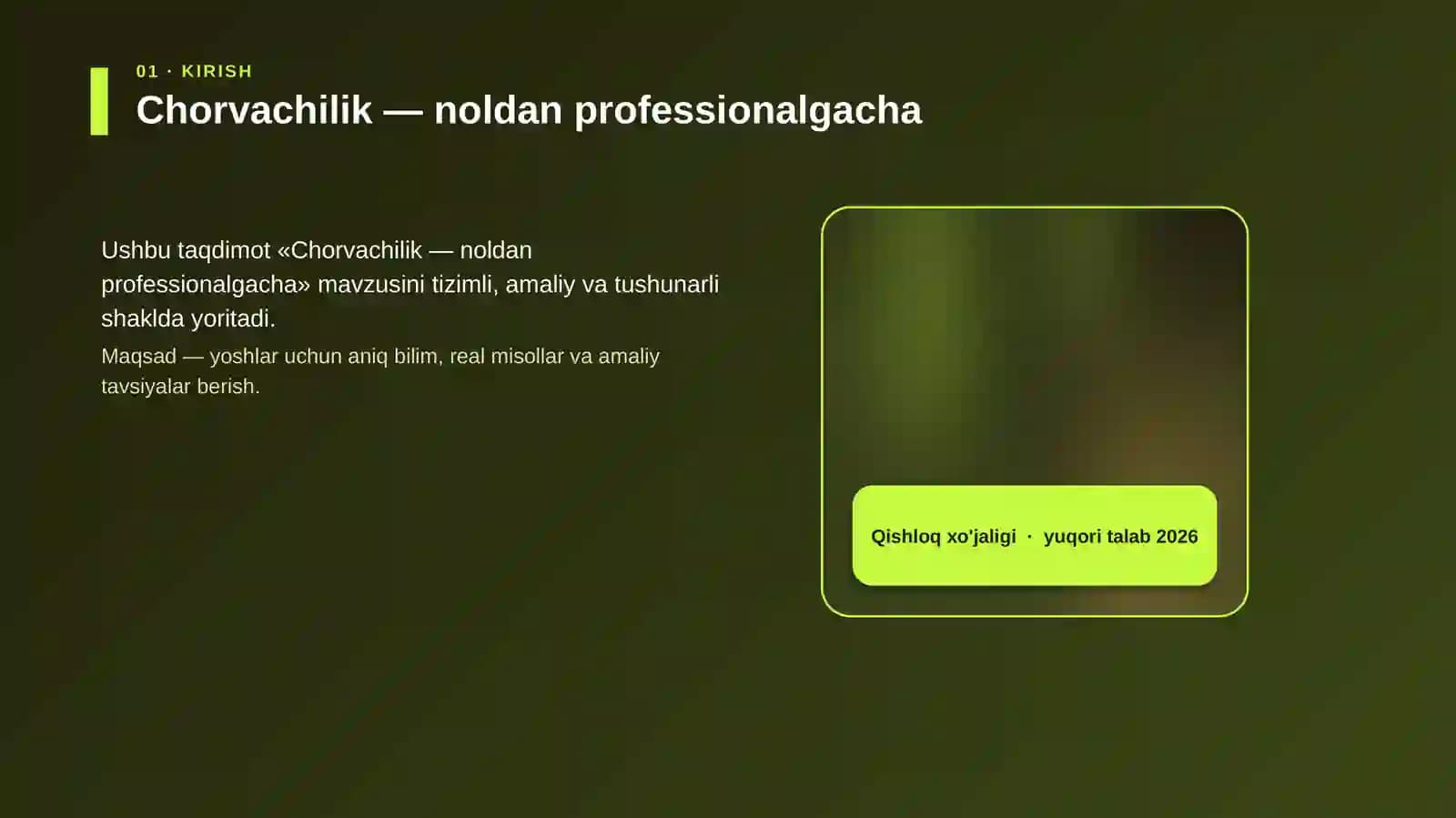 Chorvachilik — noldan professionalgacha