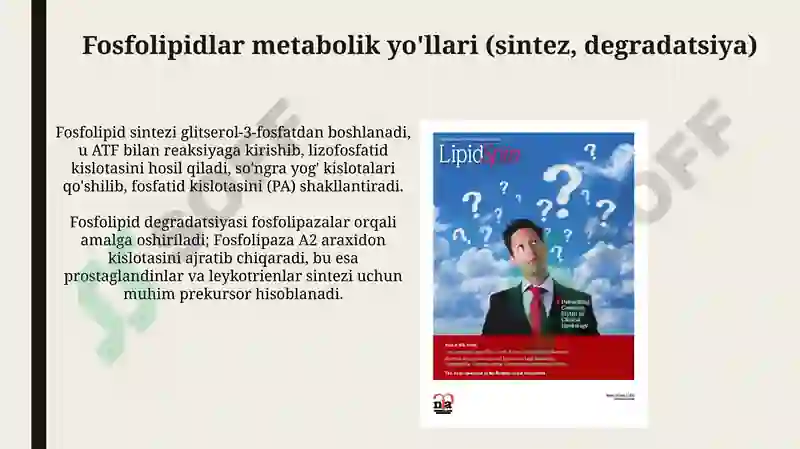 Product slide 5
