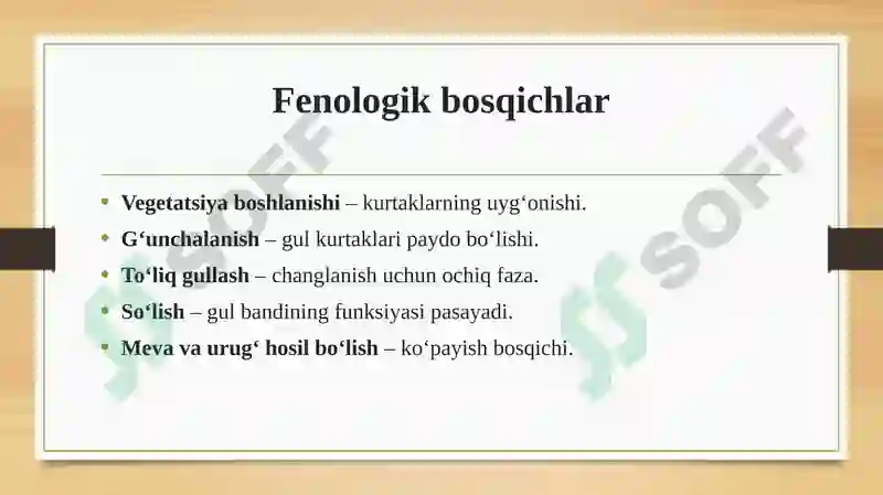 Product slide 6