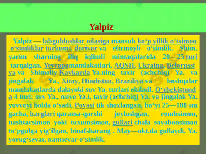 Product slide 6