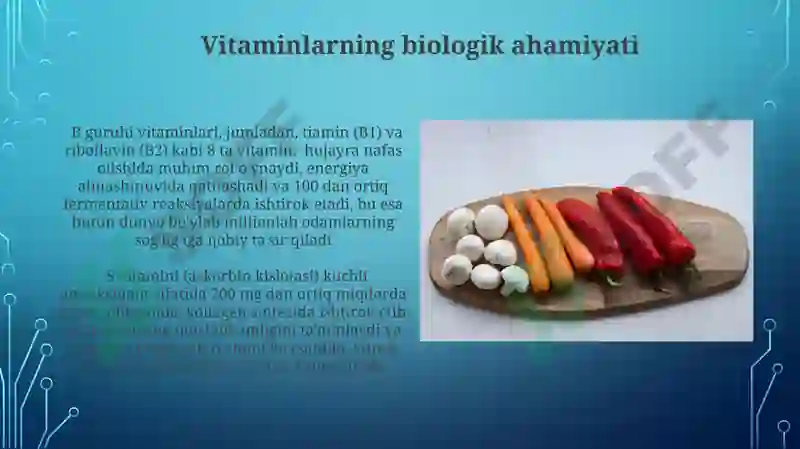 Product slide 6