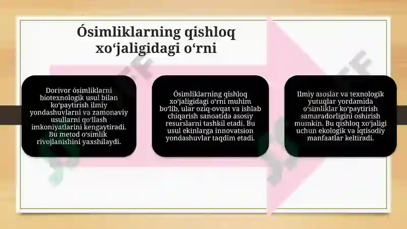 Product slide 7