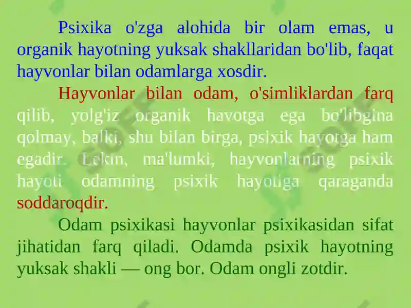 Product slide 8