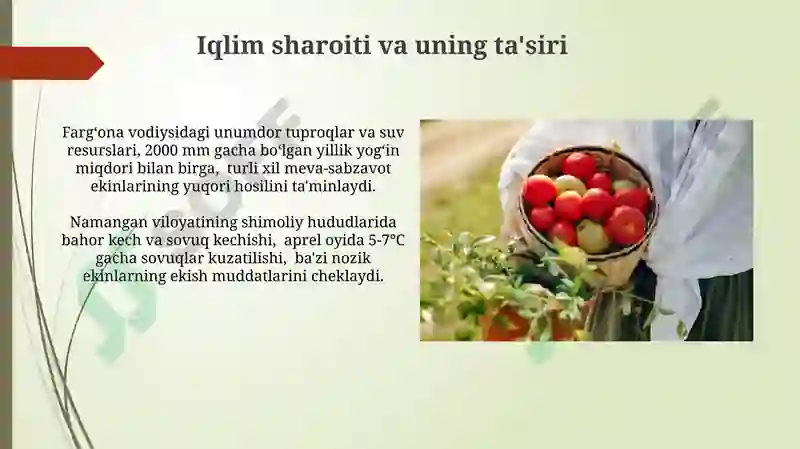 Product slide 8