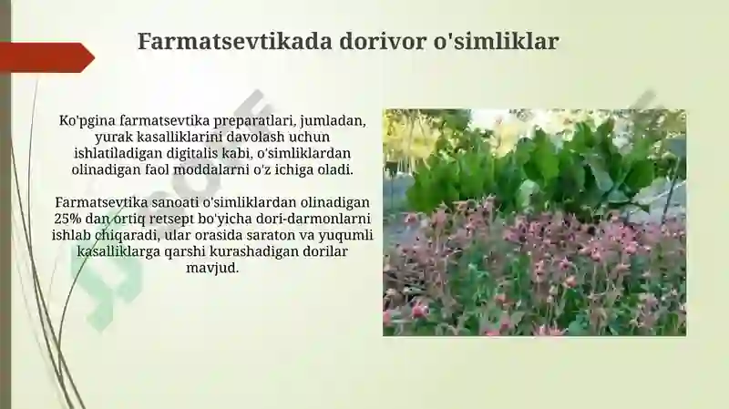 Product slide 8