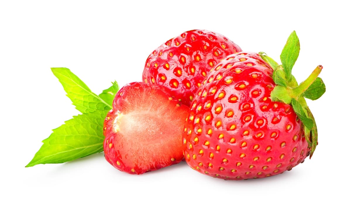 Qulupnay yalpiz izolyatsiya qilingan oq fon | Strawberry mint isolated white background