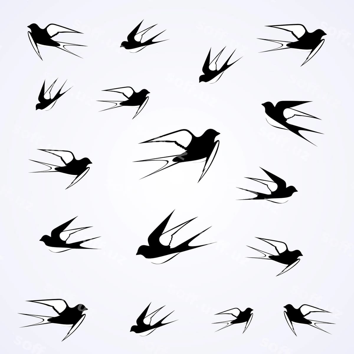 Qora qushlar osmonda uchishadi | Swallows fly sky