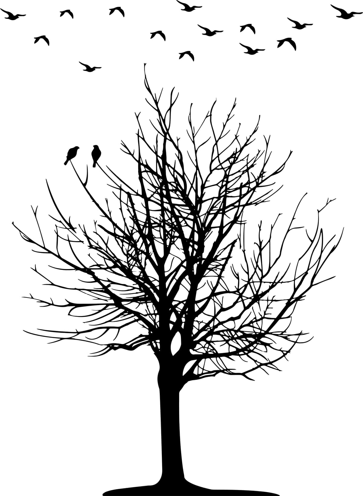 Qora oq vektor eskizi tasvirlangan daraxt qushlari | Black white vector sketch illustration tree birds