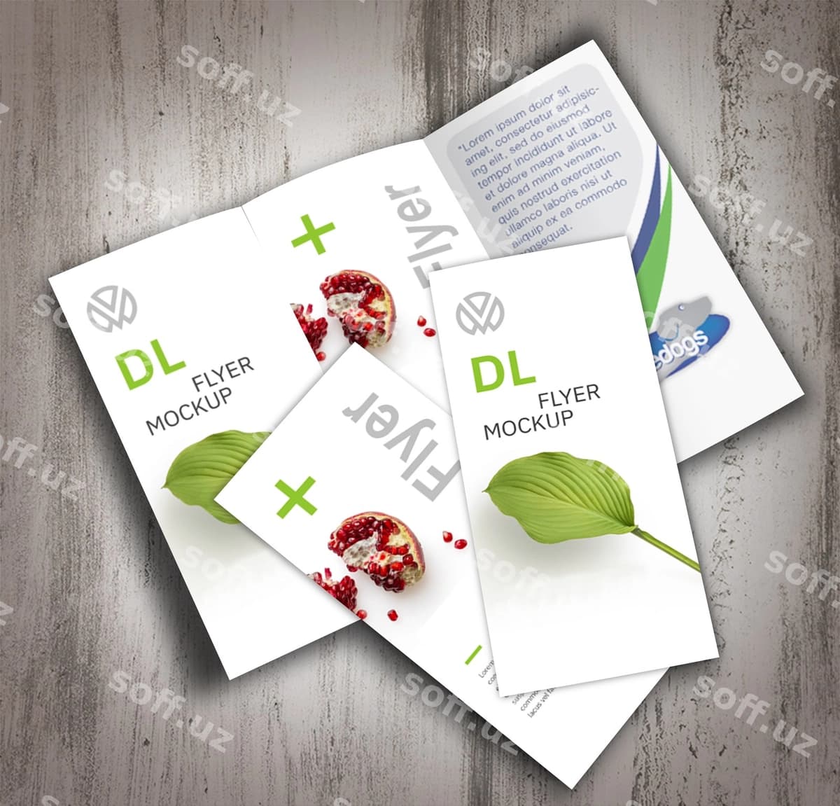 Uch qirra broshyur dizayni | Trifold brochure design