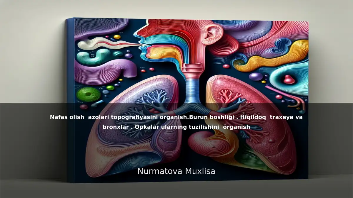 Nafas olish a'zolari topografiyasi