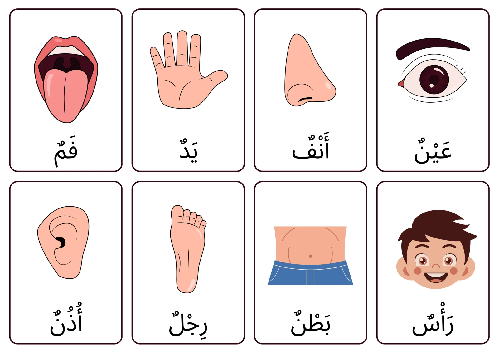 CARDS Arab tilida  tana a'zolari