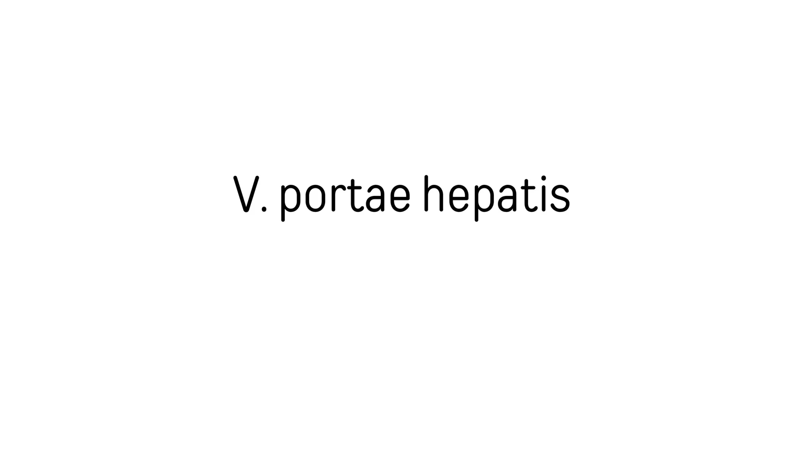 V.Portae Hepatis anatomiyasi