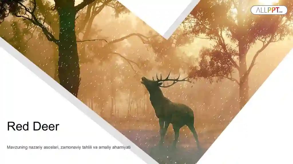 Red Deer Taqdimoti (60 Slayd)