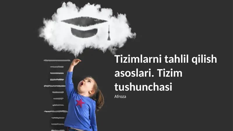 Tizim chegaralarini aniqlashda, tashqi muhit bilan o'zaro ta'sirini hisobga olish, uning muvaffaqiyatini aniqlashda muhim ahamiyatga ega.