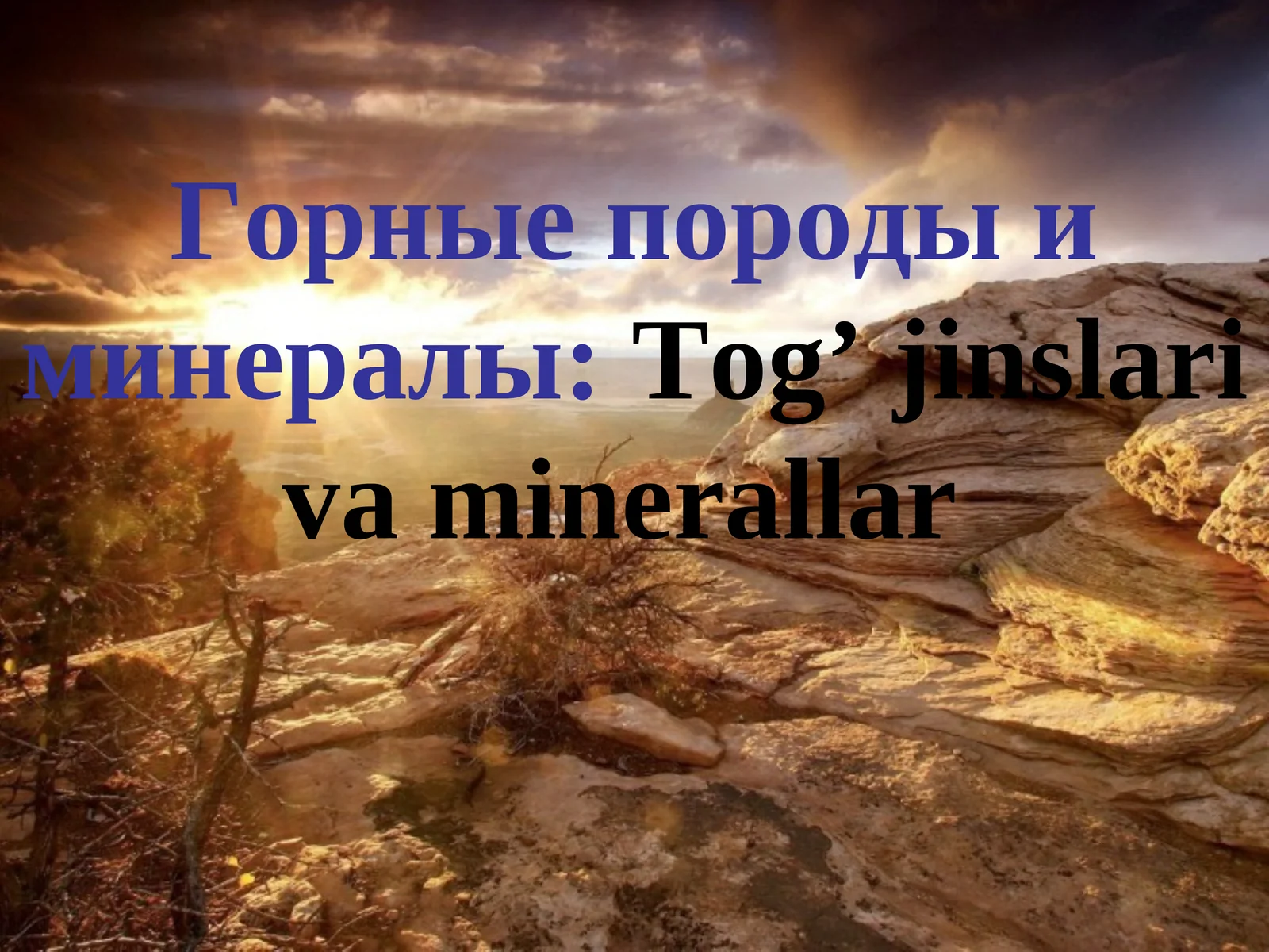 Tog' jinslari va minerallar