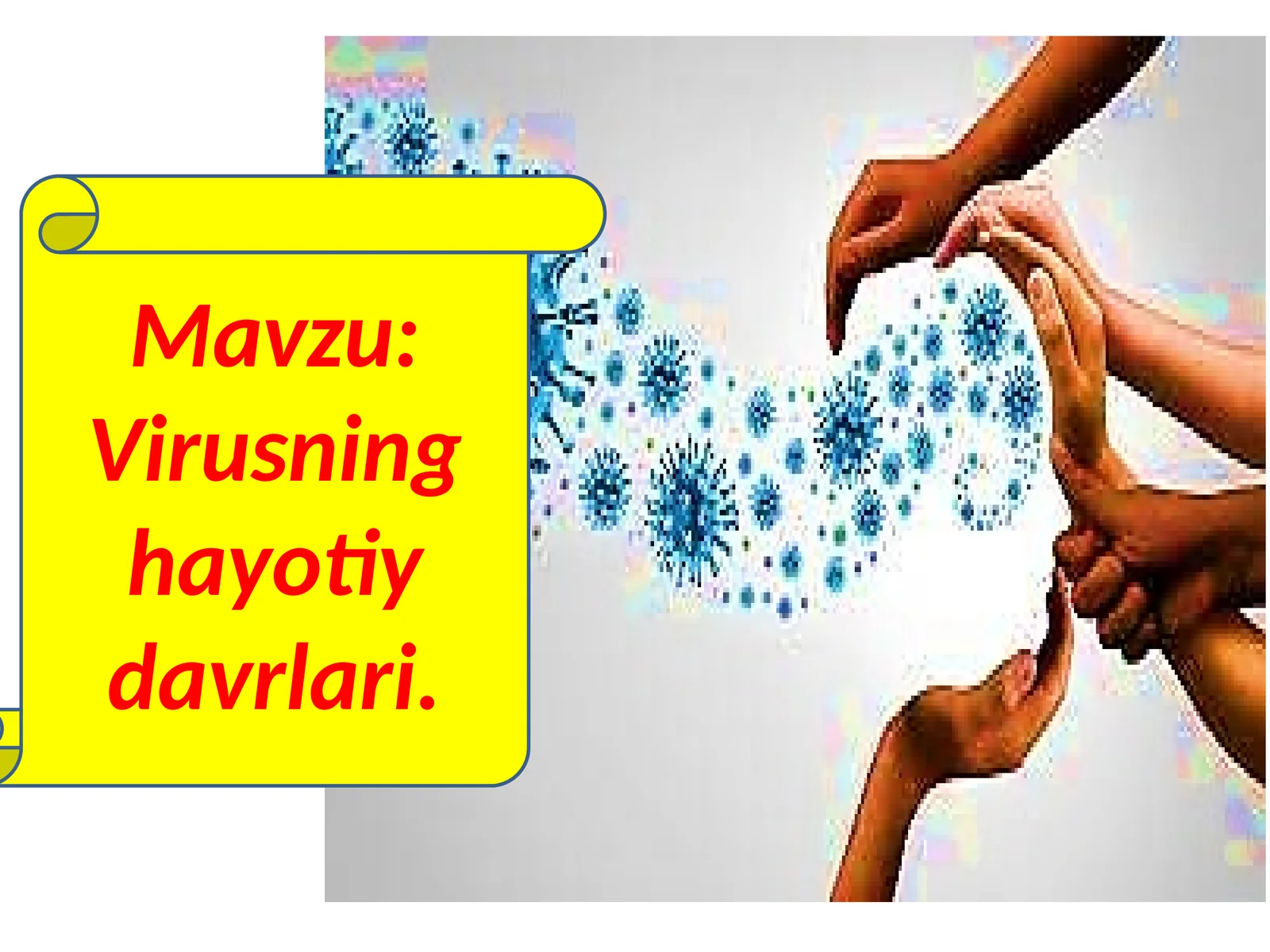 Viruslar hayotiy davrlari