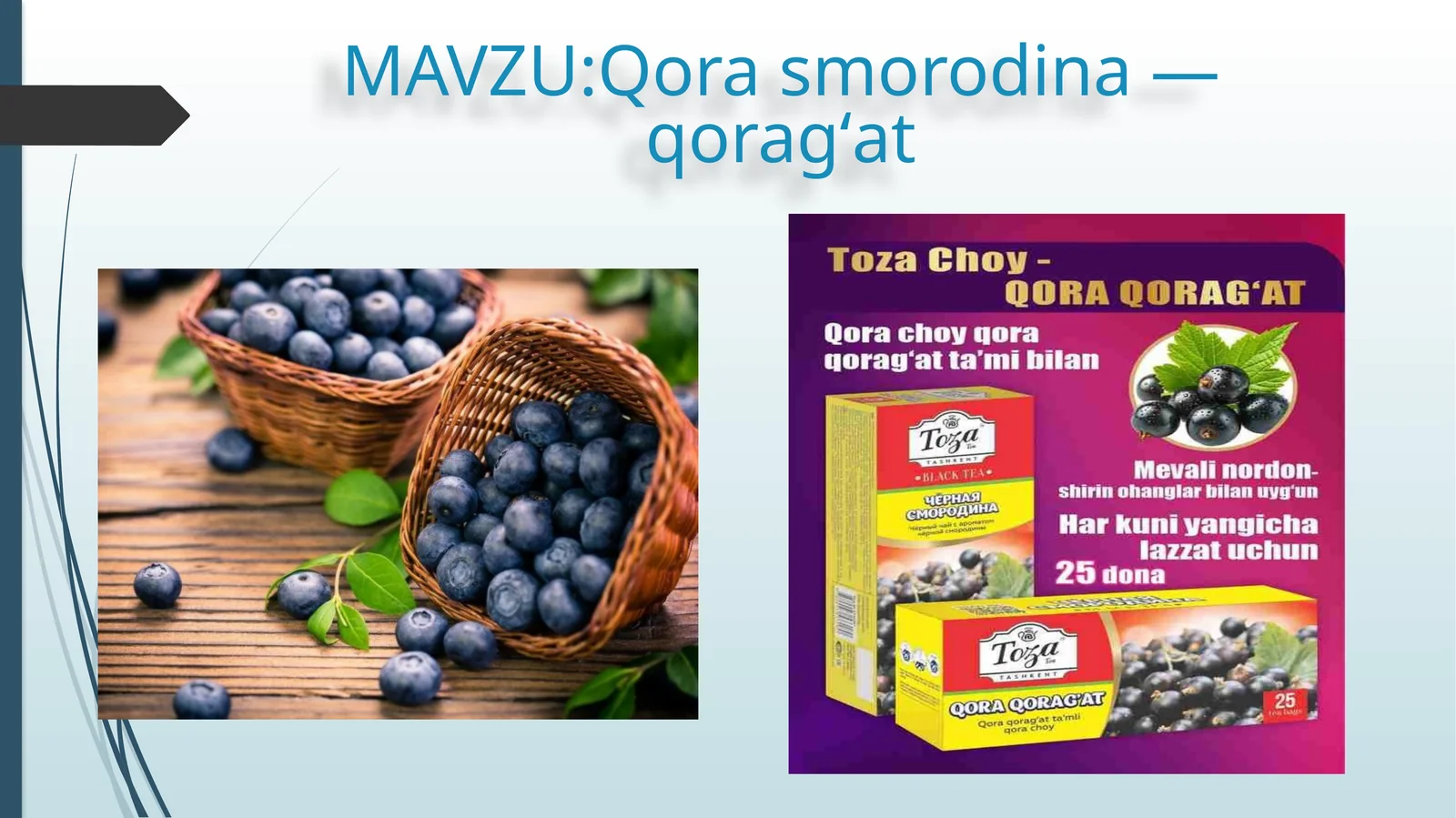 Qora smorodina — qoragʻat