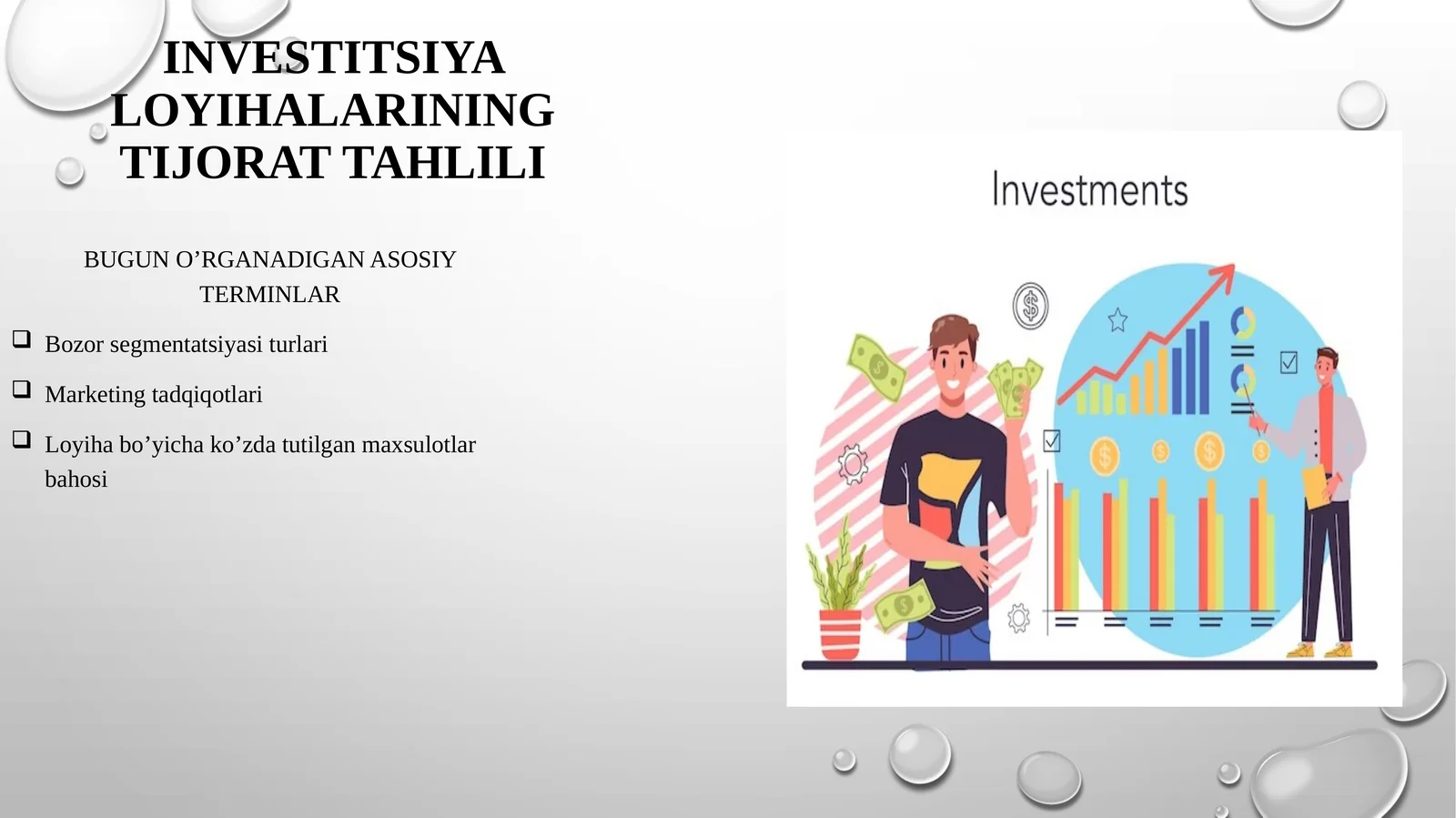 Investitsiyaloyihalarining tijorat tahlili