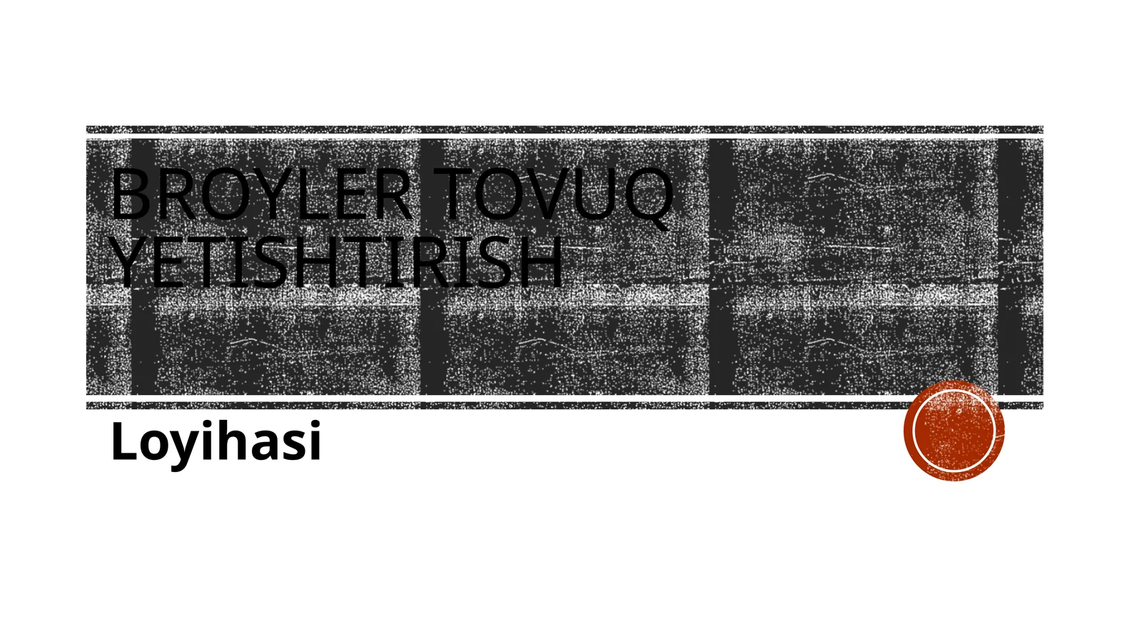 (100 millionlik loyiha ishi)  Broyler to'vush etishtirish loyihasi